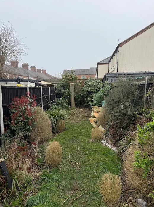 The garden opened up after removal, timber neatly stacked
